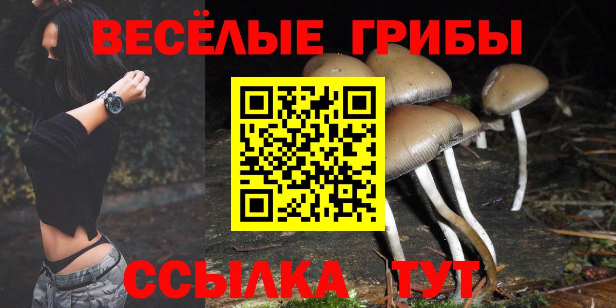 Псилоцибиновые грибы Psilocybe  Галлюциногенные грибы мухоморы  Вход с VPN  Лениногорск 